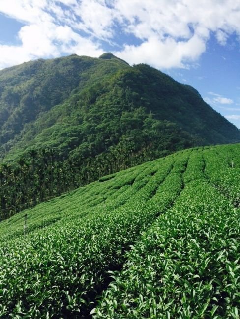 華山與樟湖的風情